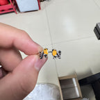 Classic Piece with Timeless Appeal