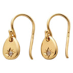 Charming Silver Earring for Any Occasion