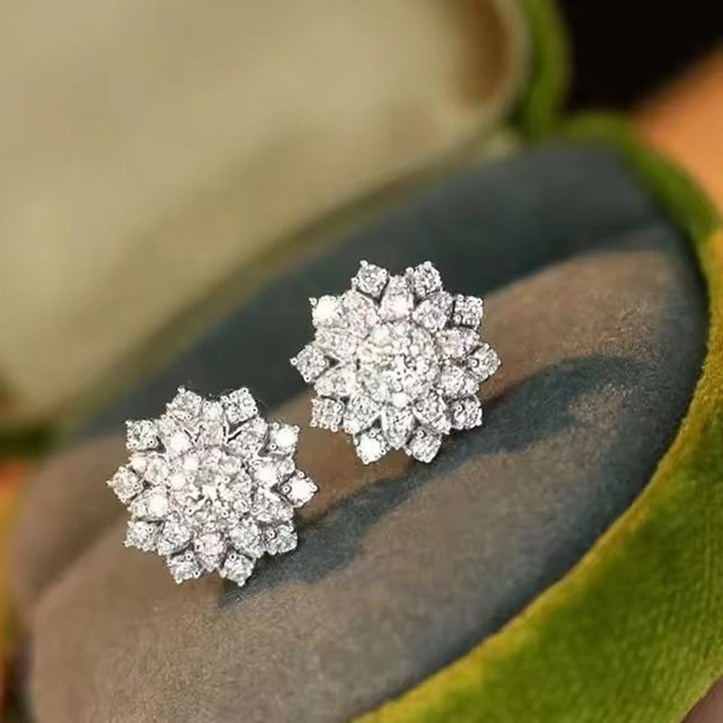 Beautiful Earring with Unique Style