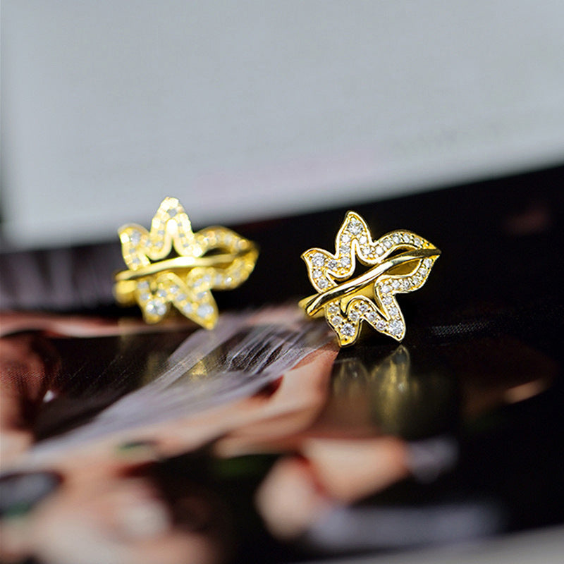 Beautiful Earring with Unique Style